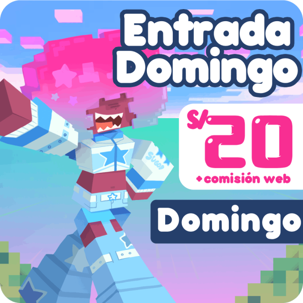 Domingo 12 Entrada General